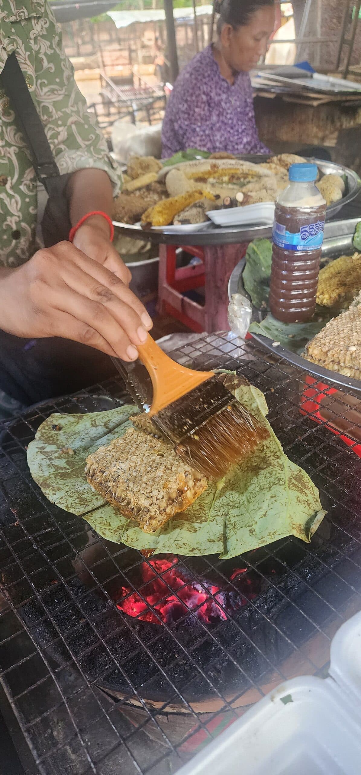 El moscardon cazador de abejas avanza a pasos agigantados en Buenos Aires El moscardón