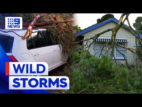 Wild spring storm leaves thousands of SA residents without power | 9 News Australia