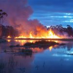 Beyond the Fire: Kinglake’s Revival and the Future Pace of Hybrid Innovation